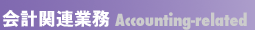 ��v�֘A�Ɩ� <Accounting-related>