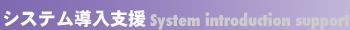 �V�X�e�������x�� <System introduction support>
